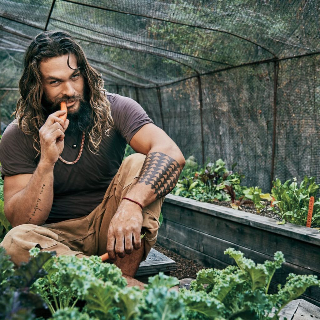 Jason Momoa Biography, Age, Height, Girlfriend, Wife, Kids & Net Worth