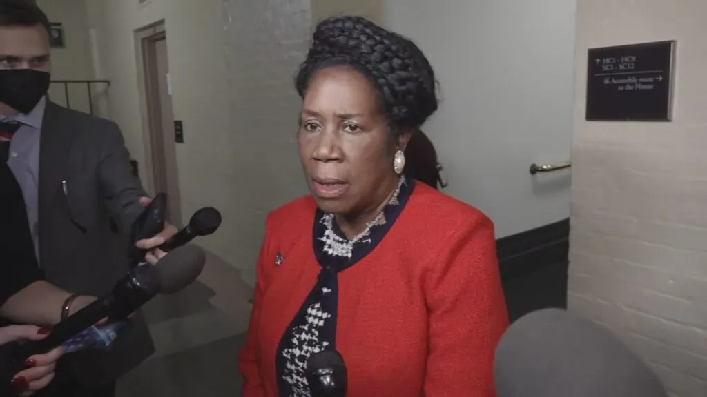 Sheila Jackson Lee Biography, Age, Physical Appearance, Career, Net